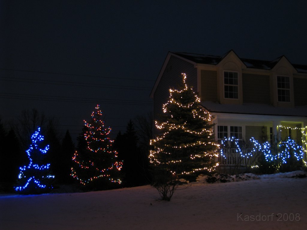 Christmas Lights Hines Drive 2008 252.jpg - The 2008 stringing of the outdoor Christmas lights MUST occur on the worst day between Thanksgiving and Christmas Eve each year. 2008 was no exception!